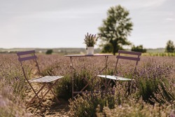 Table and Chairs Outdoor on Sunny Lavender Field. Private Restaurant Dinner for Love Couple. Scenic Blooming Purple Flower Margin Background with Sunlight. Romantic Summer Landscape