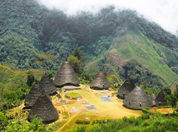 Bird eye view of indigenous conical huts in Wae Rebo Village, Flores Island, Indonesia