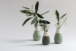 Three small vases with olive branches in front off white background. Modern minimalist style. Interior object decorations. 