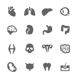 Simple Set of Organs Related Vector Icons for Your Design.