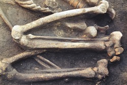 Archaeological excavations and finds (bones of a skeleton in a human burial),   a detail of ancient research, prehistory. 