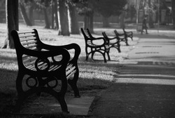 Park benches early morning. Northern Ireland