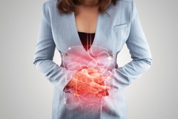 Illustration of internal organs is on the woman's body against the gray background. Business Woman touching stomach painful suffering from enteritis. internal organs of the human body. IBS