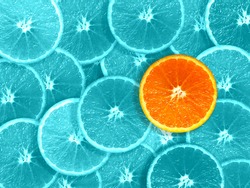 orange slices odd one out graphics