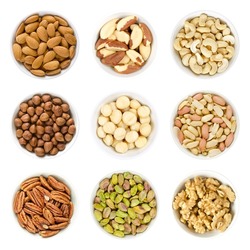 Nine different kinds of nuts in white bowls, isolated on white background. Almond kernels, brazil nuts, cashews, hazelnuts, macadamia nuts, peanuts, pecans, pistachio kernels, and walnut halves. Photo