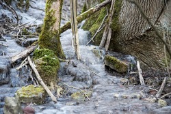 frozen creek in winter forest