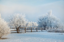 Frozen morning winter landscape with fence
