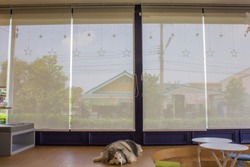 White curtain or blinds Roller sun protection and big Glass windows.