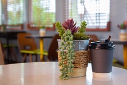 Cute fake succulents in pots and paper coffee mugs on the coffee shop table decorations.