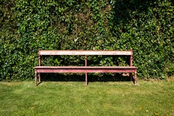 Wooden long bench in greenery background