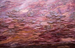 Redwood (Sequoia) bark background or texture. Purple, pink, red natural colors.