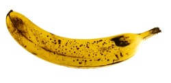 Yellow rotten banana isolated on a white background