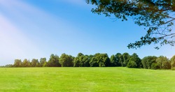 Fresh air and beautiful natural landscape of meadow with green tree  in the sunny day for summer background,Beauty landscape of grass field with forest trees and environment public park with sun rays