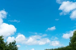 Blue Sky Summer with fluffy clouds over green rain forest tree. Horizon Beauty Summer landscape of  forest with clear sky  in environment public park,