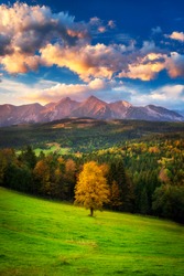 A beautiful autumn evening on a pasture under rocky mountains with a wild forest, a beautiful yellow tree in the middle of a meadow and a colorful dramatic sky. High tatras NP, Poland, Slovakia