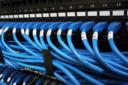 Blue cable patch cords connected to switches with numbers and empty labels