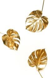 Gold leaf isolated on a white background  top view. Golden monstera leaves , plant frame with copy space. abstract poster.