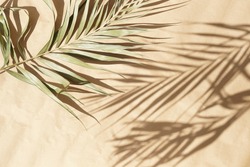 blured natural palm leaves shadow background on beige paper texture .Tropics minimalist abstract backdrop. poster