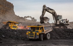 Loading of coal into truck. Excavator at work . Mining