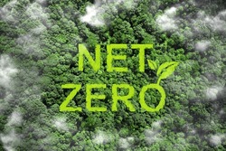 Net zero and carbon neutral concept.Net Zero text on green grass with forest for net zero greenhouse gas emissions target Climate neutral long term strategy on a green background. Carbon Neutrality.