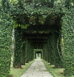 Green archway in a garden. 