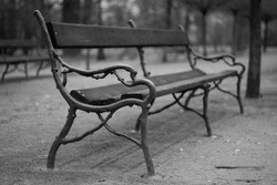 Bench in a park. Black and white concept.