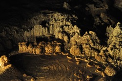 Stalagmites in the Waitomo caves, New Zealand