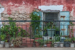 Old window with plants in a facade of typical building, Zakynthos island, Greece