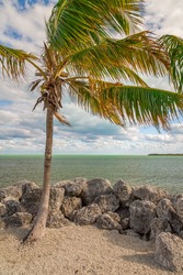 Seashore View in the Keys