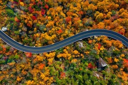 Road through the Blue Ridge Parkway mountains of North Carolina during the Fall.