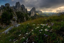 rugged peaks of Gastlosen in the alpine foothills of Fribourg with daisy flowers