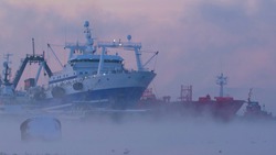 Early in the morning at dawn in the fog fishing ships are in the port of Petropavlovsk Kamchatsky
