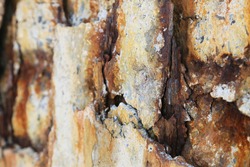 Steel corrosion in reinforced concrete. Reinforced concrete with damaged and rusty steel bar in marine and other chloride environments. Degraded concrete and corrosion of reinforcement bars