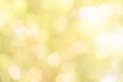 Yellow and green bokeh texture background from nature