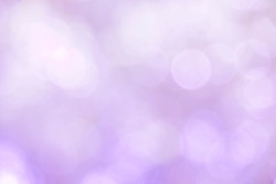 Puple bokeh background from nature