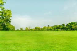 Wide lawns and ornamental trees and green forests