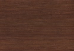 walnut veneer, natural wood pattern for manufacture of furniture, parquet, doors.