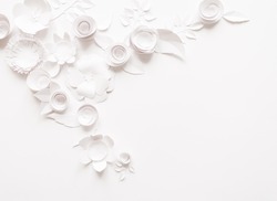 White paper flowers on white background. Cut from paper.