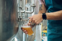 Portrait of a bearded man working in a brewery and checking quality of the craft beer. Brewery owner tasting beer from the best bach. Cropped shot of a man filling a glass of beer on a tap.