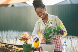 A young beautiful african american woman transplanting plants and taking care of flower pots in a greenhouse. The concept of growing plants inside.Black woman watering a plant in a new pot.