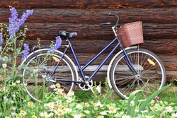 Retro bicycle with empty basket on wooden background with blurred meadow flowers on the front. Vintage bike near wooden wall