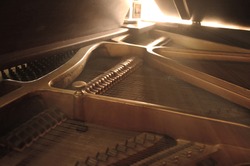 Grand Piano Strings
