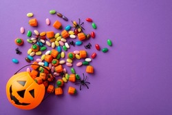 Top view photo of halloween decorations pumpkin basket with candies and spiders on isolated violet background