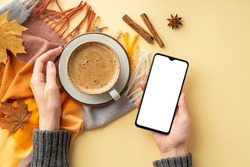 First person top view photo of female hands in sweater holding saucer with cup of coffee and smartphone over plaid cinnamon sticks anise yellow maple leaves on isolated beige background with copyspace
