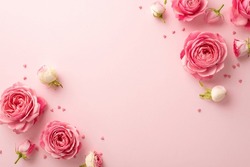 8-march concept. Top view photo of pink peony roses and sprinkles on isolated pastel pink background with blank space