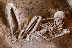 ancient human bone