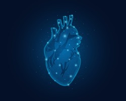 Abstract low poly heart. Polygonal wireframe illustration of human heart. Polygonal wireframe illustration with lines and dots. Vector illustration.