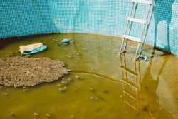 Green yellow water in swimming pool, problem service concept. Dirty abandoned pool