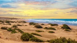 Sunset landscape in Agadir, Morocco, where desert sand turns into a beach at the Atlantic Ocean.