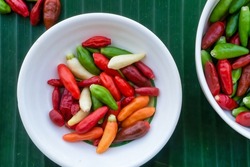 Top down, closeup view of small red, green, orange and creamy white chilli peppers in white dishes on a green banana leaf background. Philippines.
